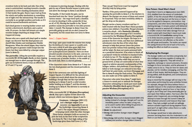 dms guild review