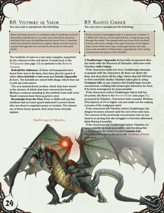 dms guild review