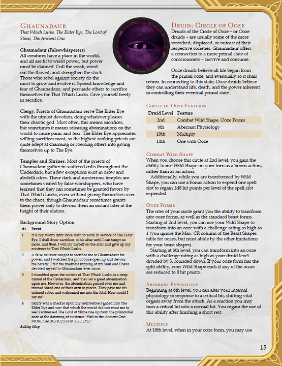 dms guild review