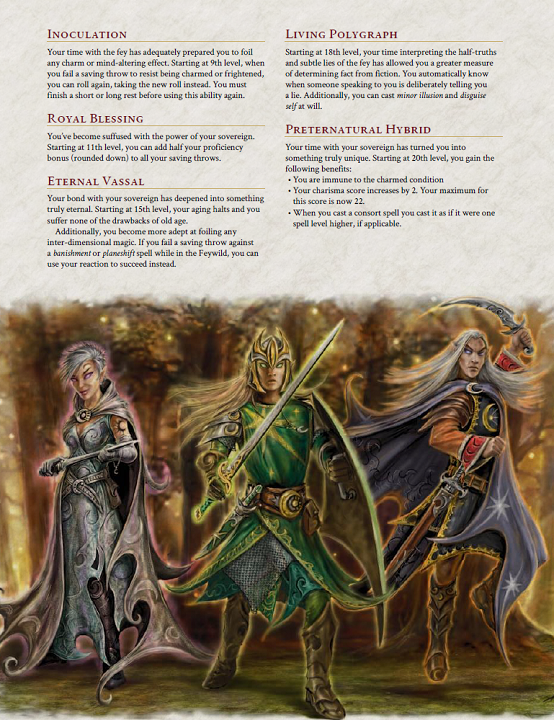 dms guild review