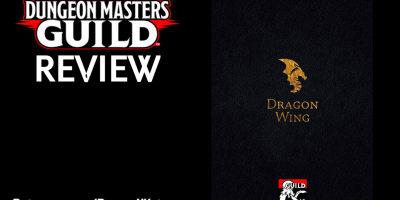 dMs guild review