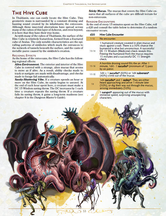 dms guild review