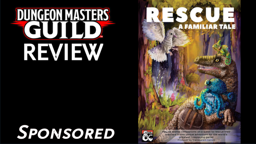 dms guild review